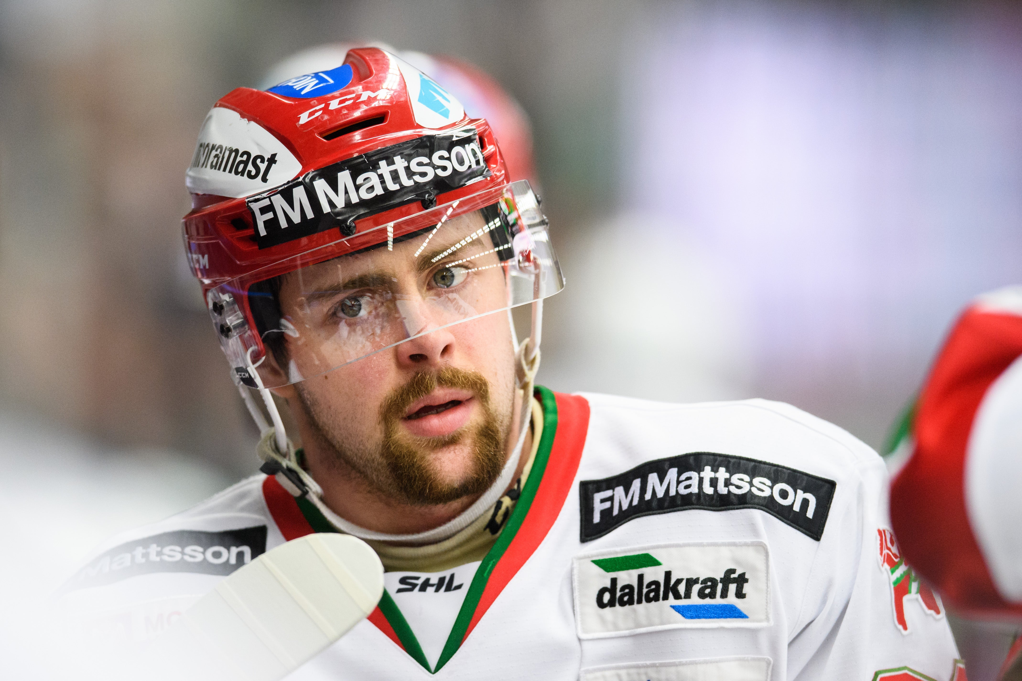 Petter Arvidson/Bildbyrån