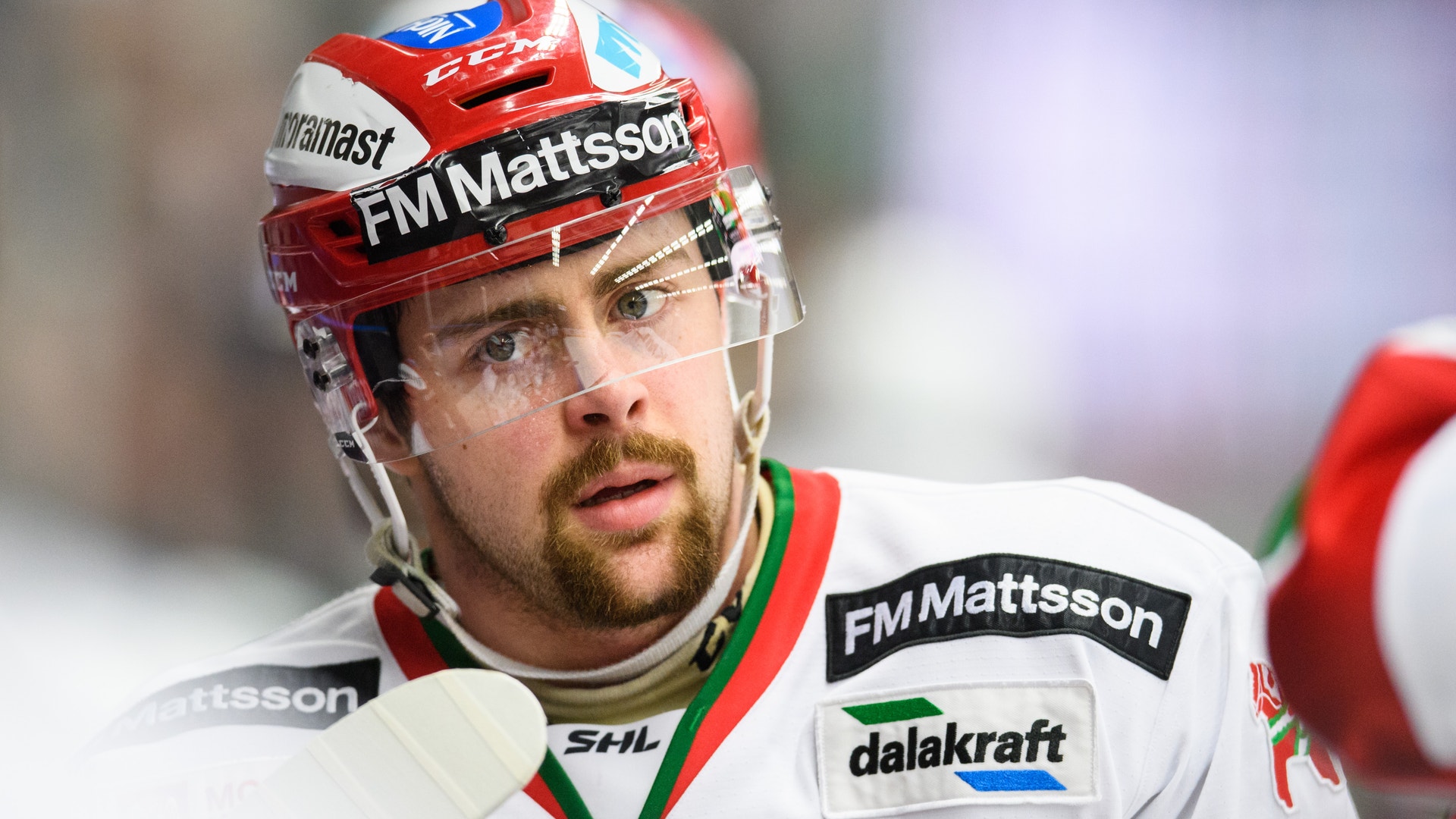 Petter Arvidson/Bildbyrån