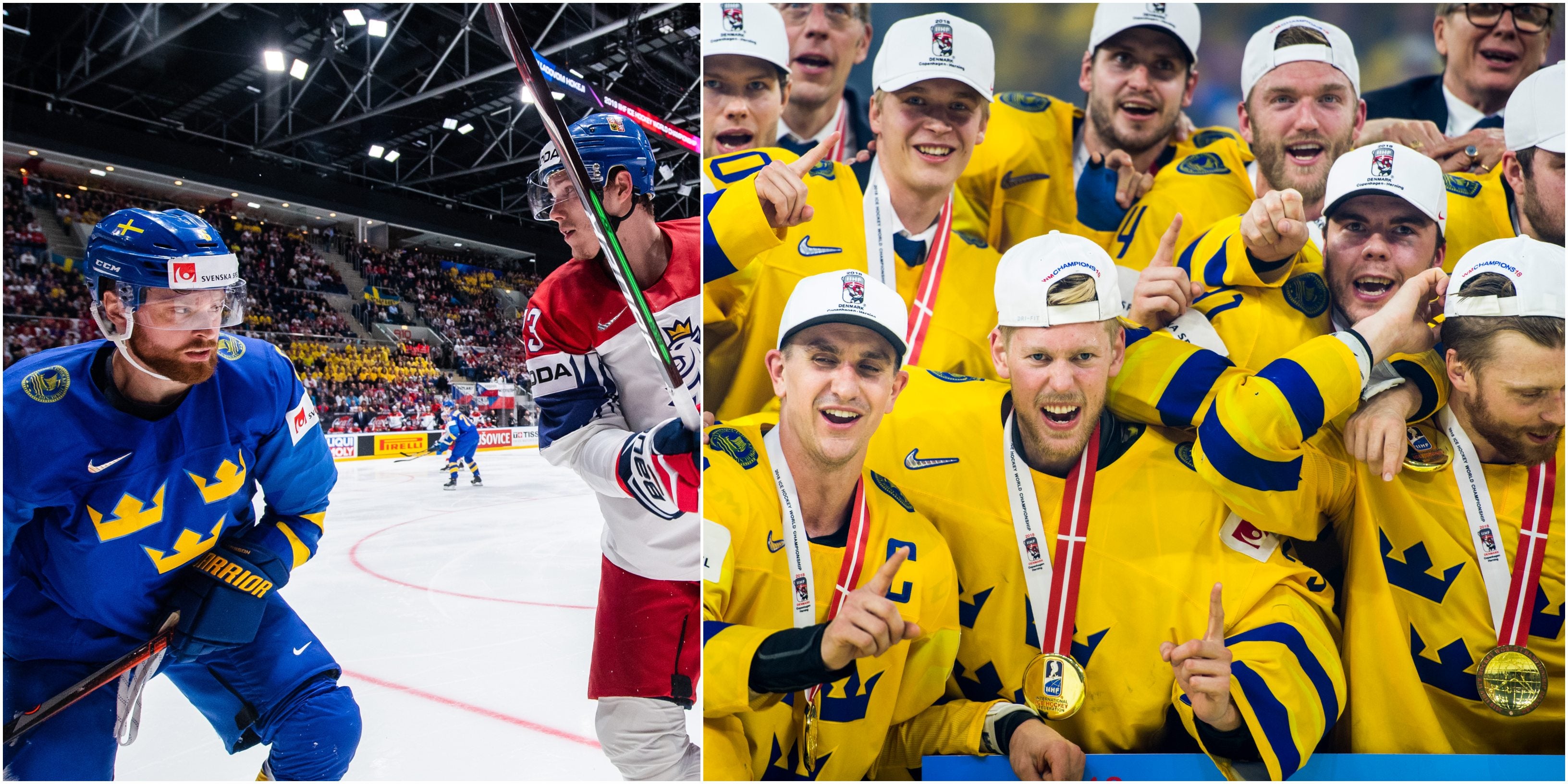 (8619) Adam Larsson/Fjolårets guldlag