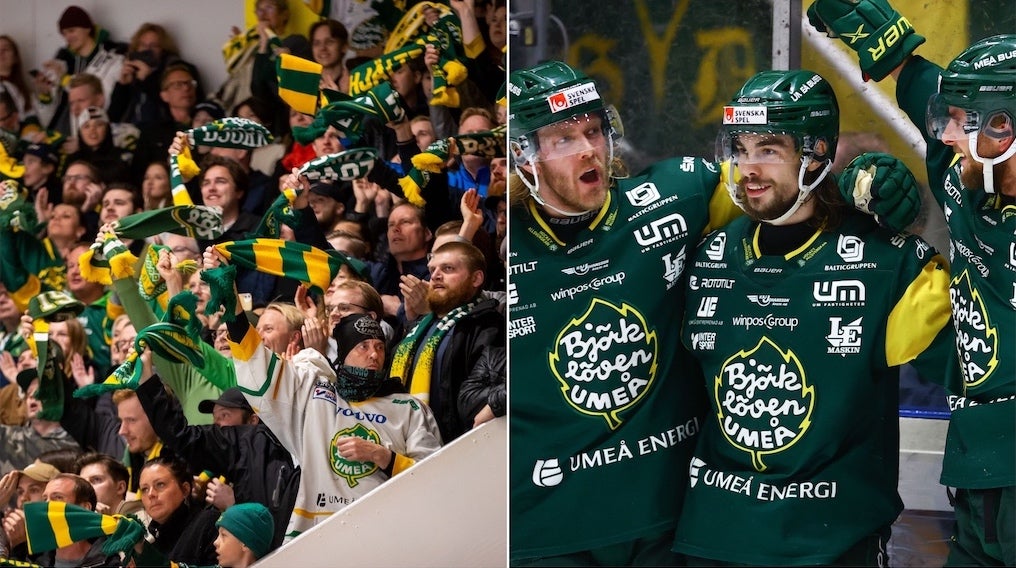 (23368) Björklöven