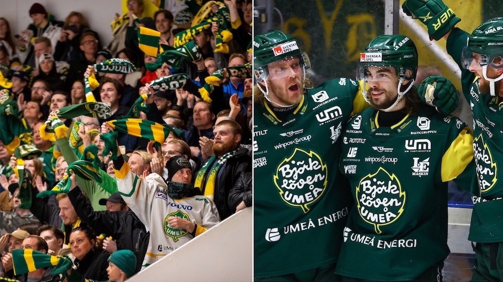 (23368) Björklöven