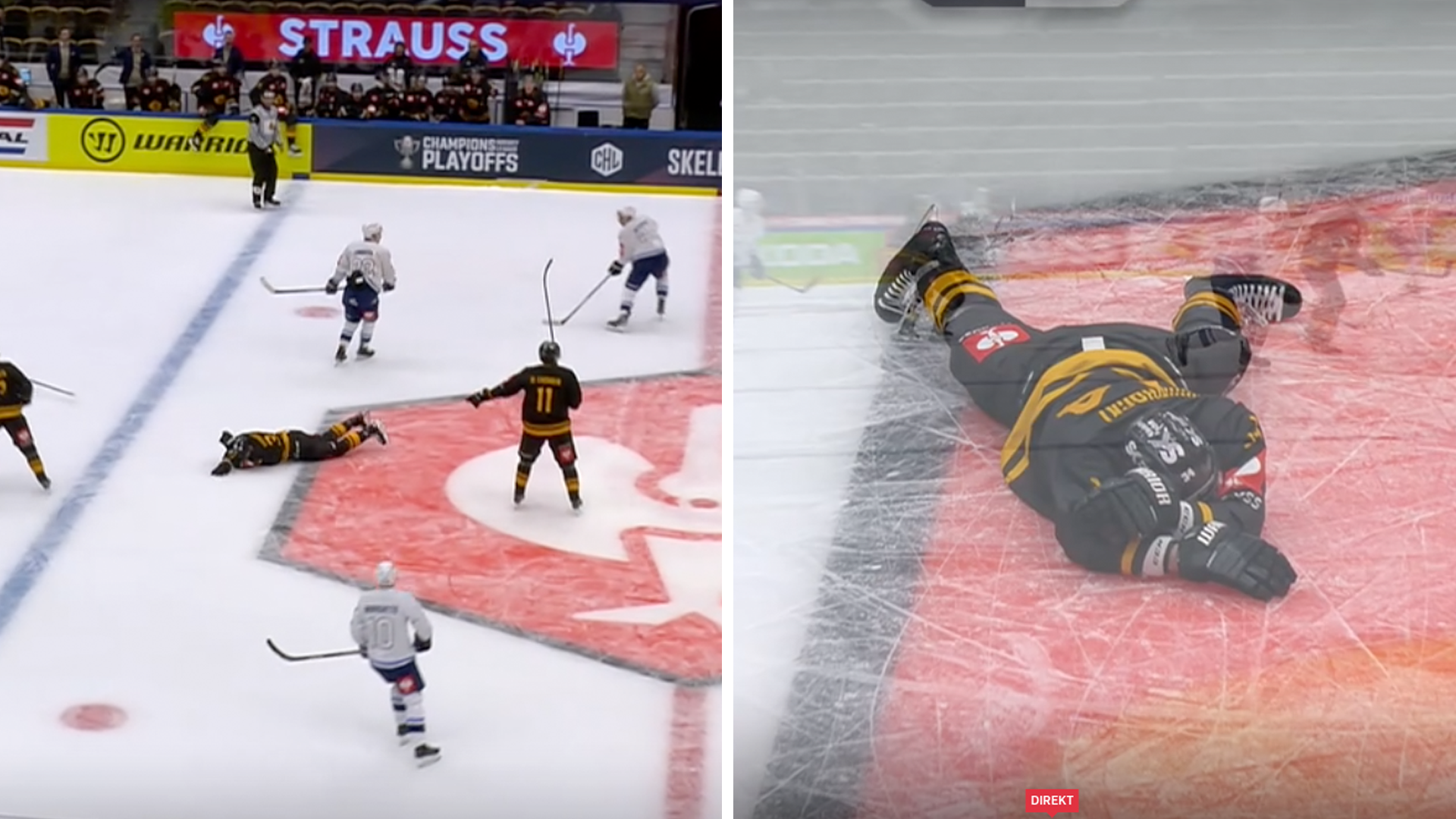 (25391) Skellefteå ZSC Lions