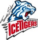 Nürnberg Ice Tigers