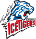Nürnberg Ice Tigers