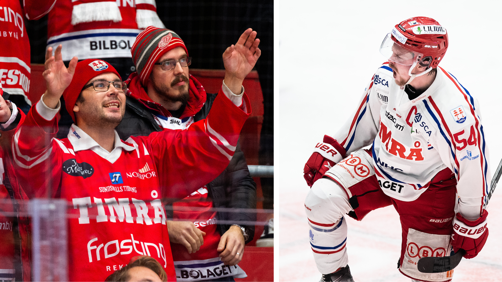 (24499) Timrå Dahlén