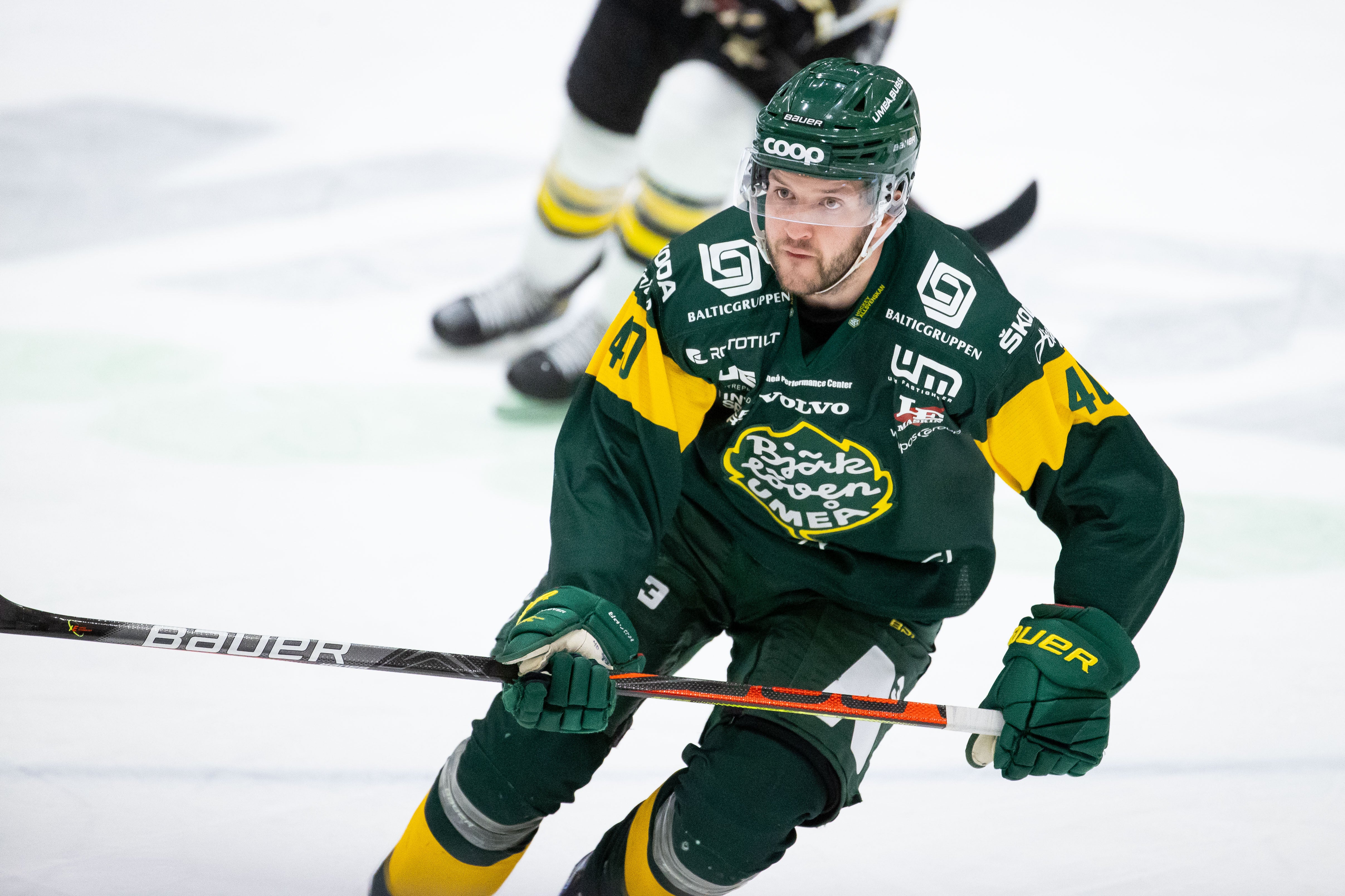 (17638) Björklöven