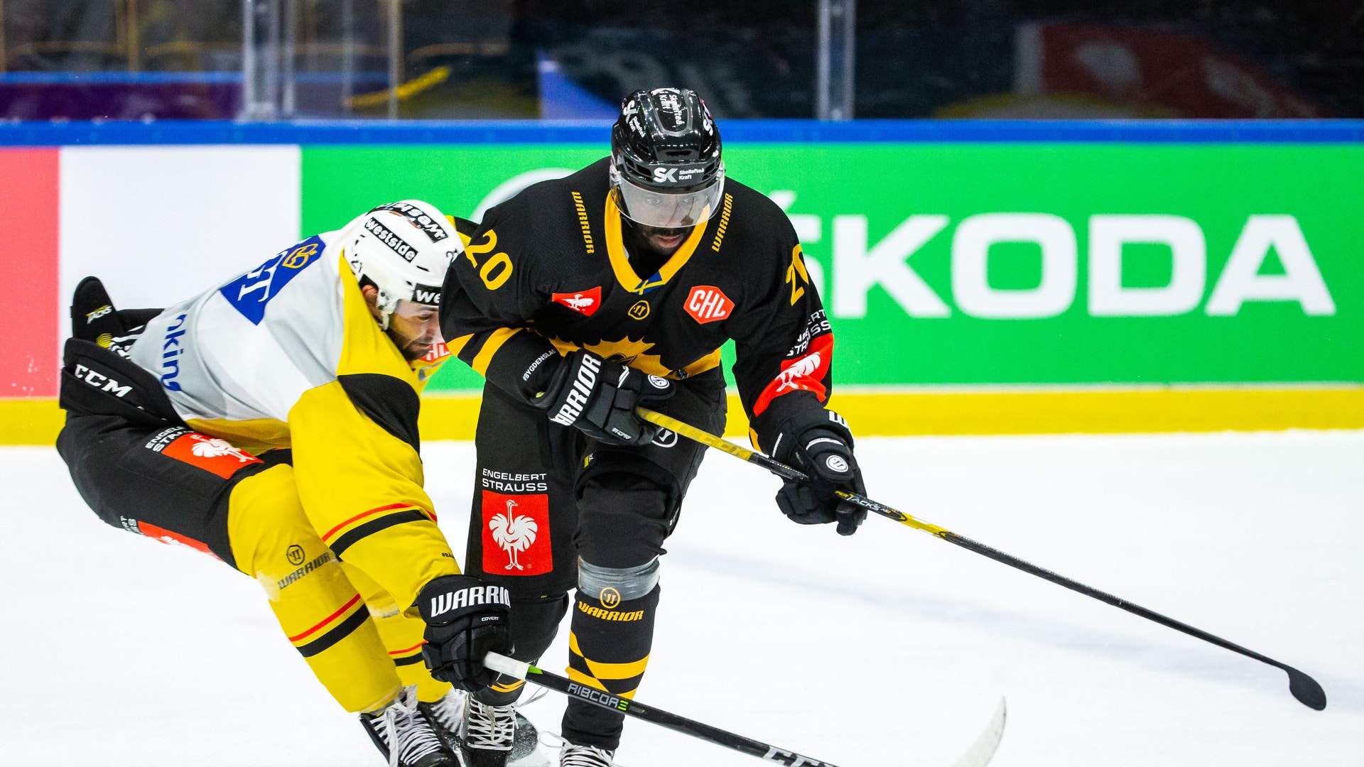 (9766) Edwin Hedberg