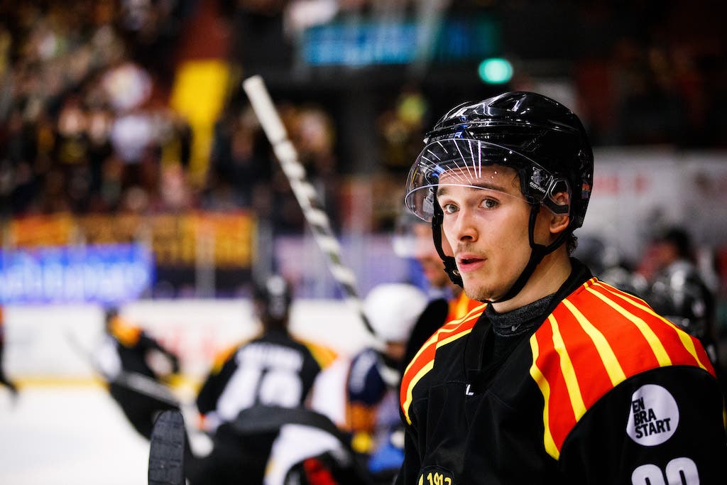 (22626) Dmytro Timashov/Brynäs