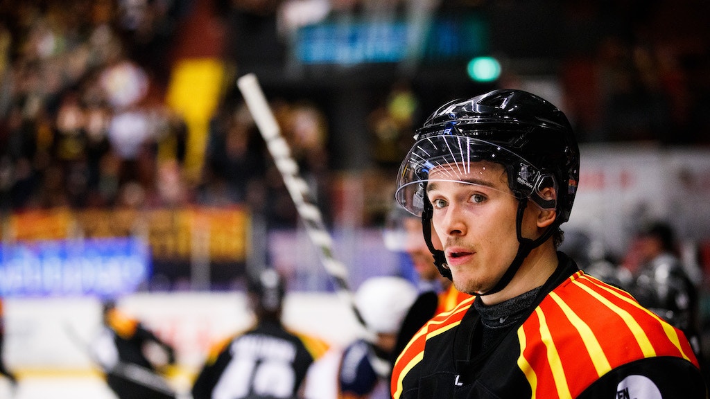 (22626) Dmytro Timashov/Brynäs