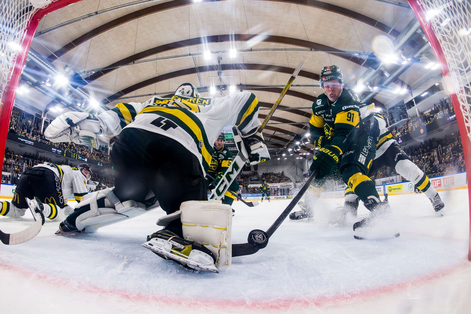 Björklöven Oscar Tellström