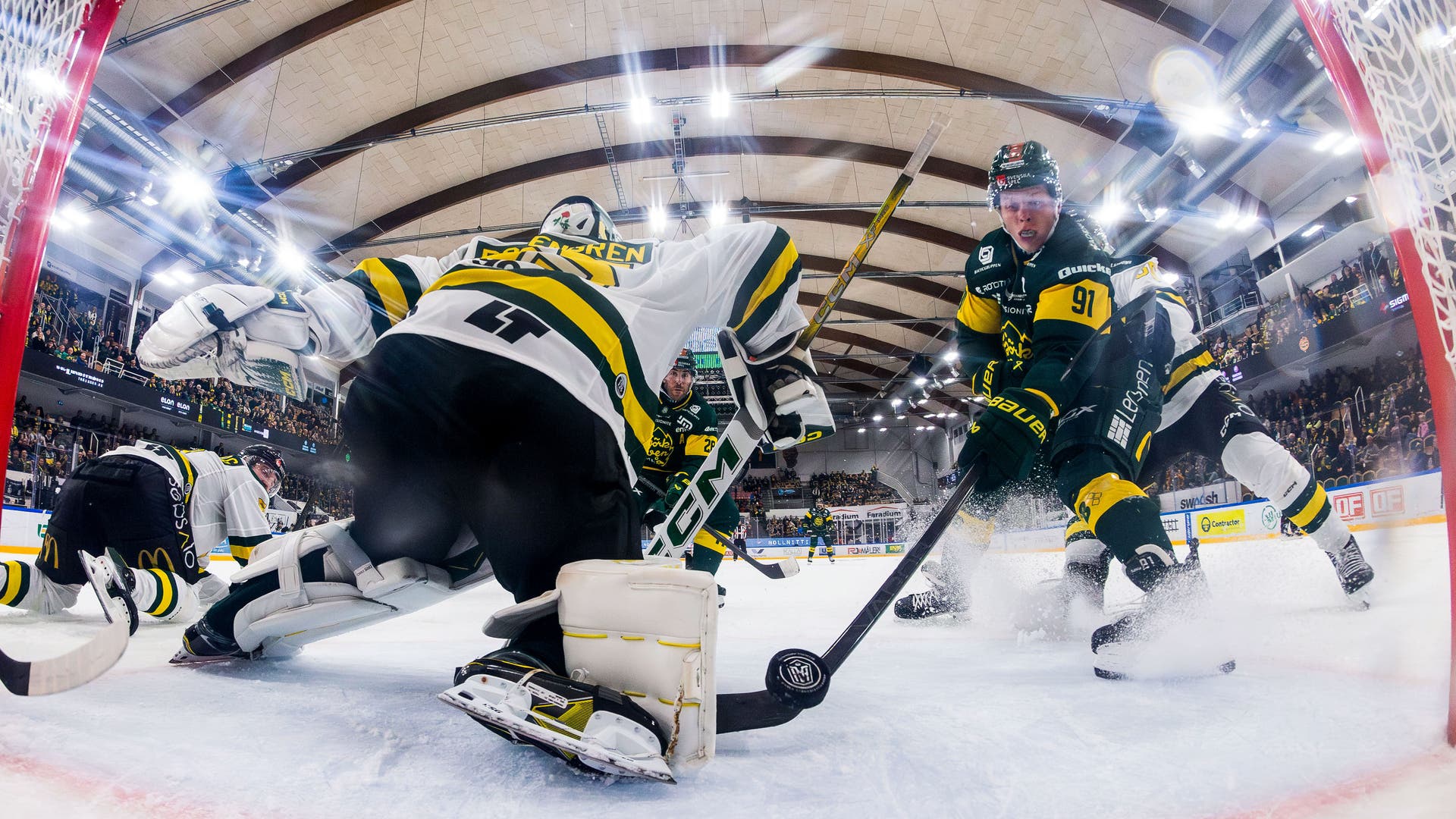 Björklöven Oscar Tellström