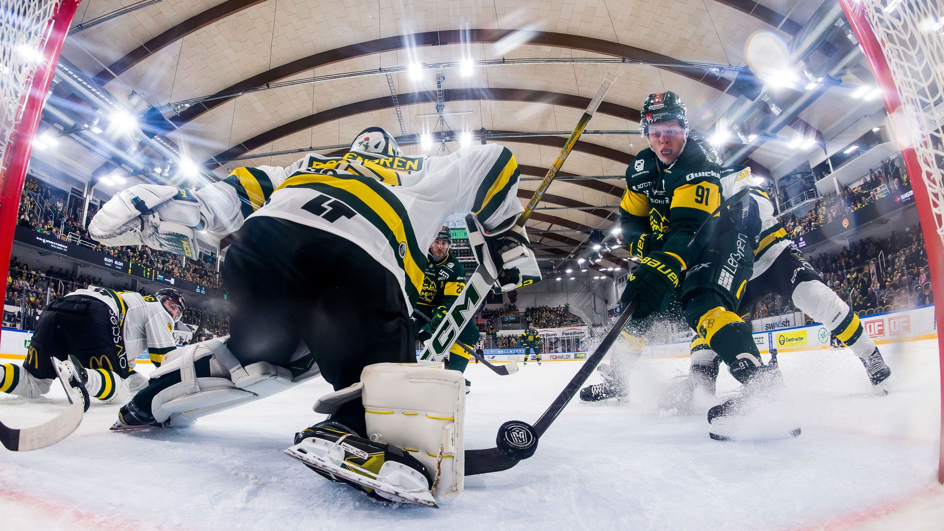 Björklöven Oscar Tellström