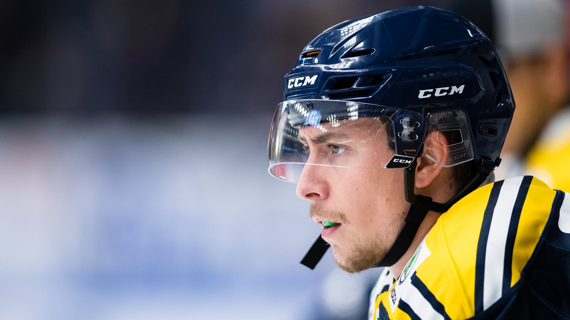 Andreas Sandström/Bildbyrån