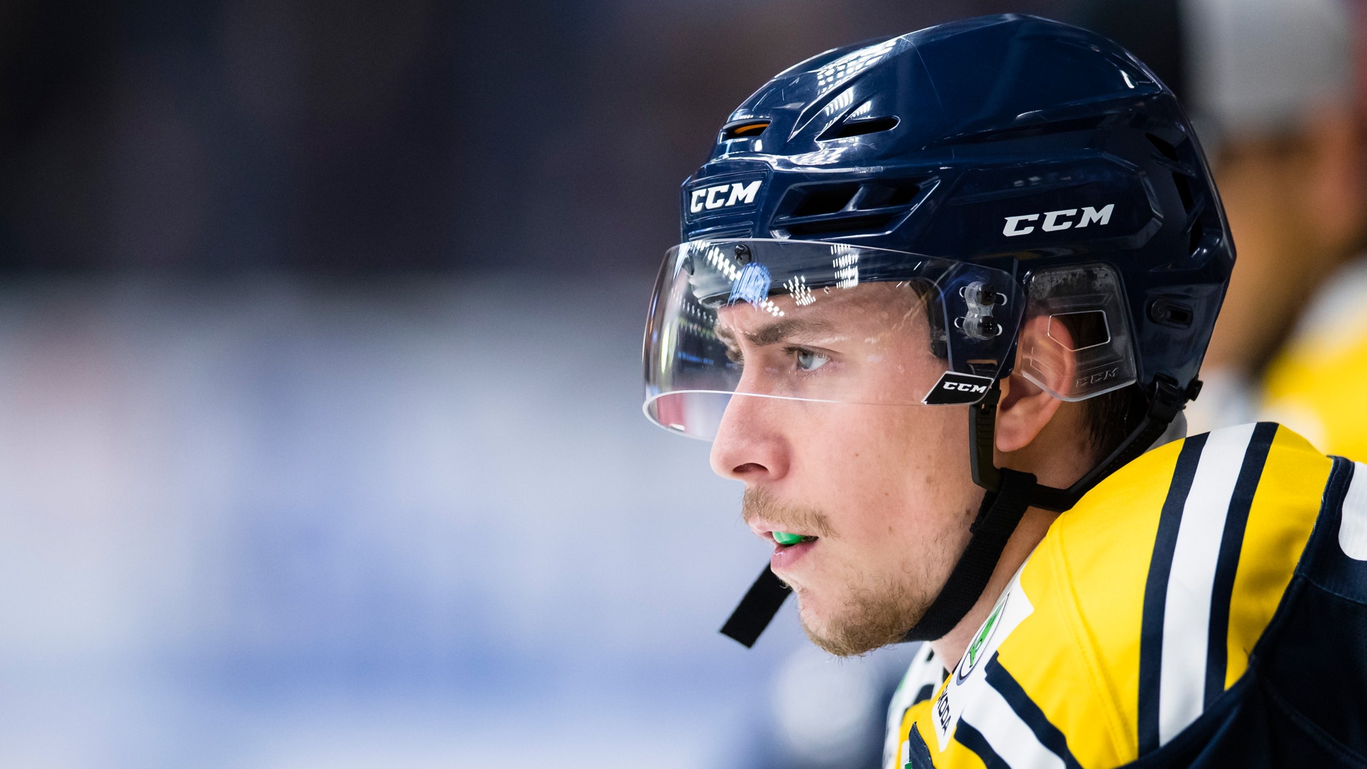Andreas Sandström/Bildbyrån