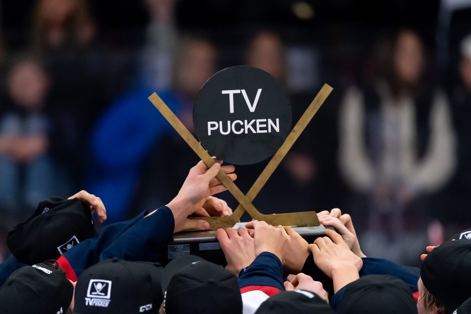 (24573) TV-pucken