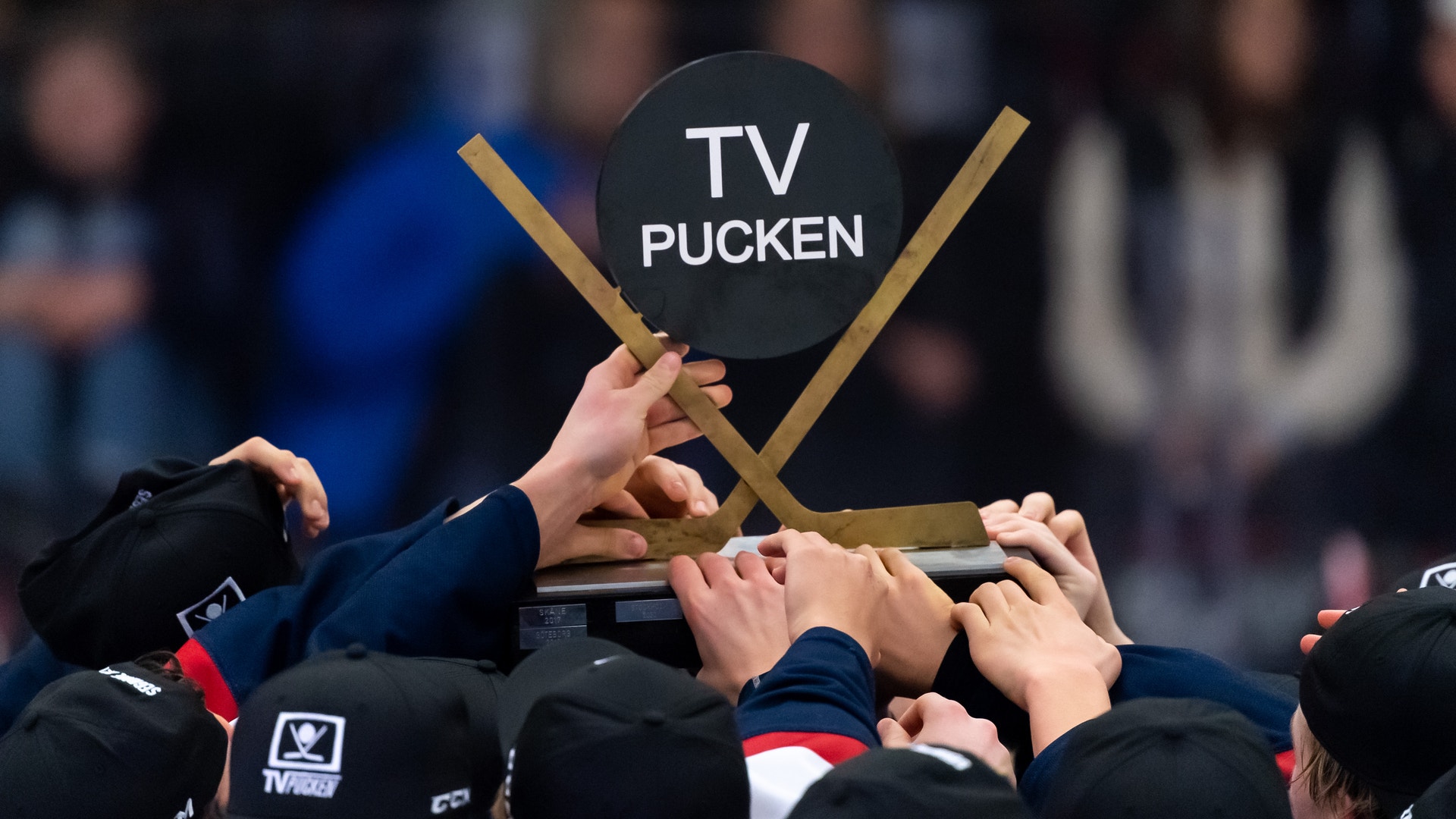 (24573) TV-pucken