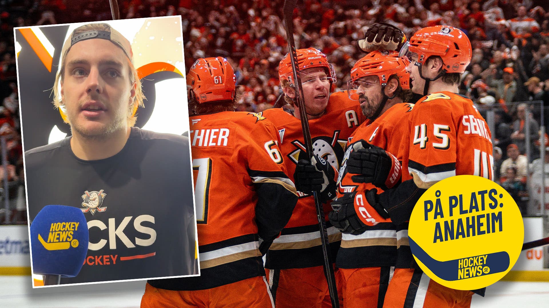 Anaheim leo carlsson