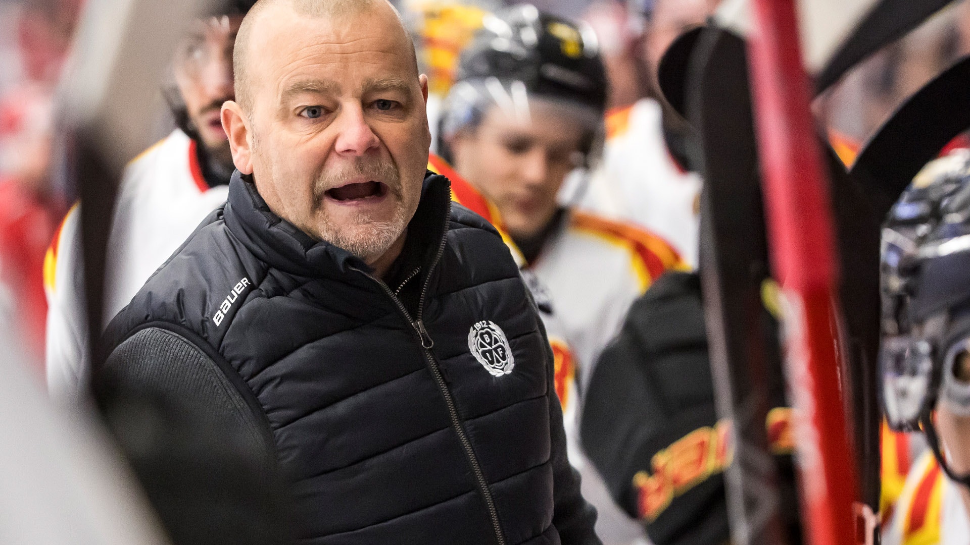 (30115) Niklas Gällstedt