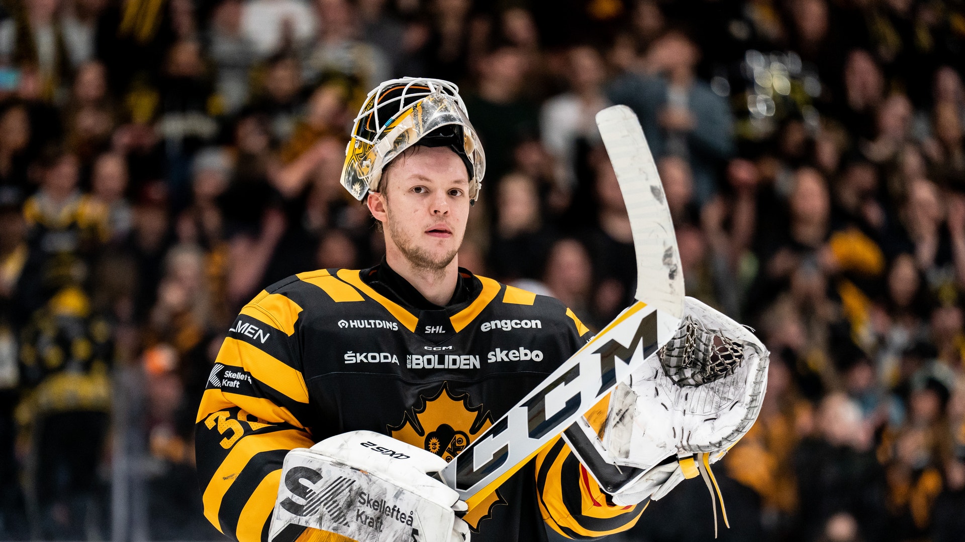 (25919) Linus Söderström