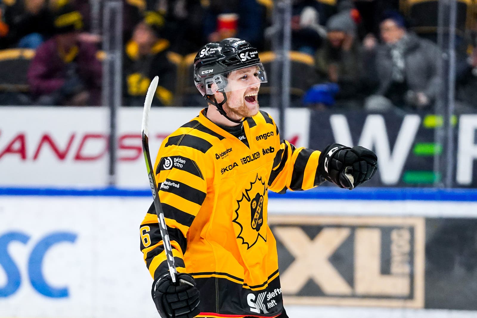 (11704) Filip Berglund