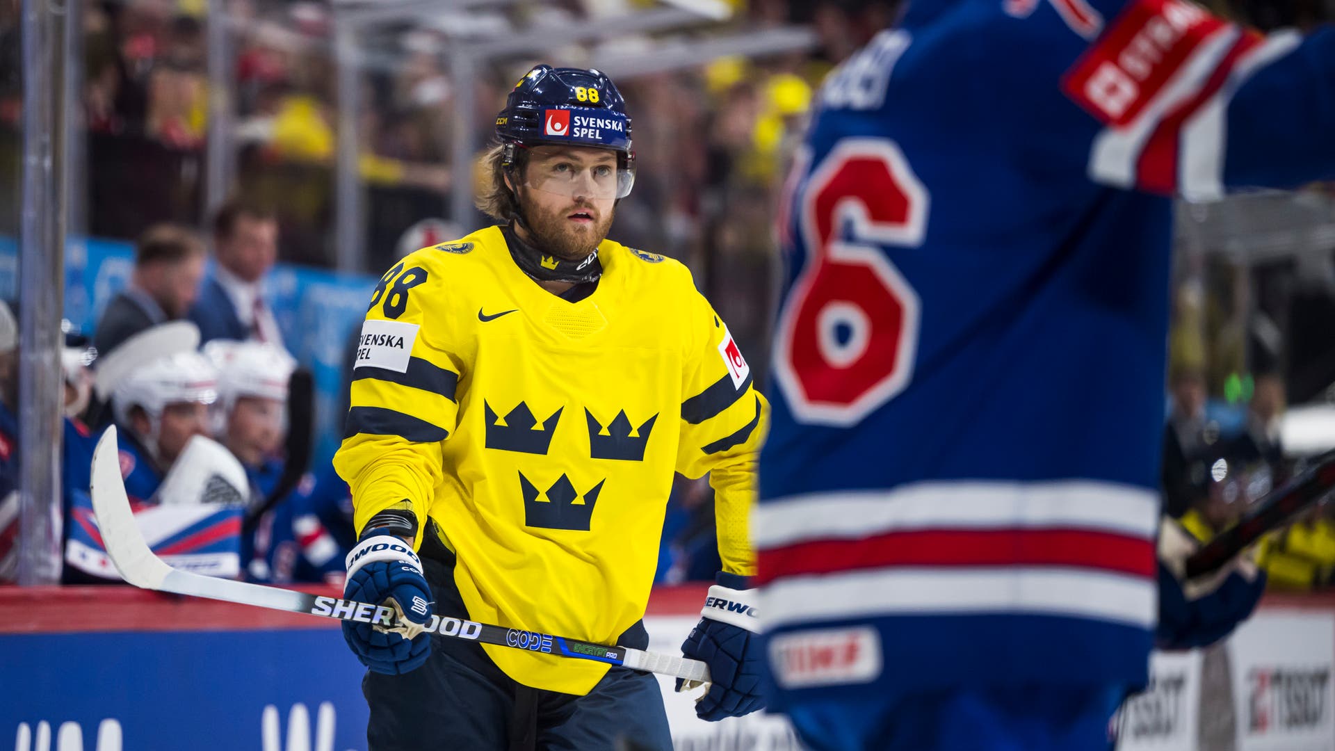 Nylander