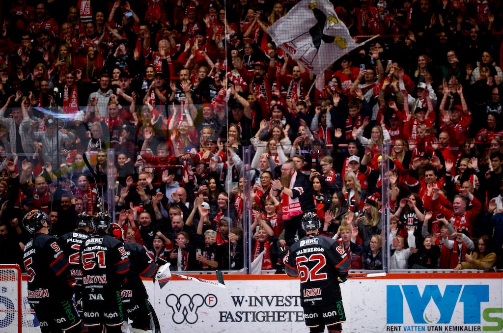 (24809) Robert Leino