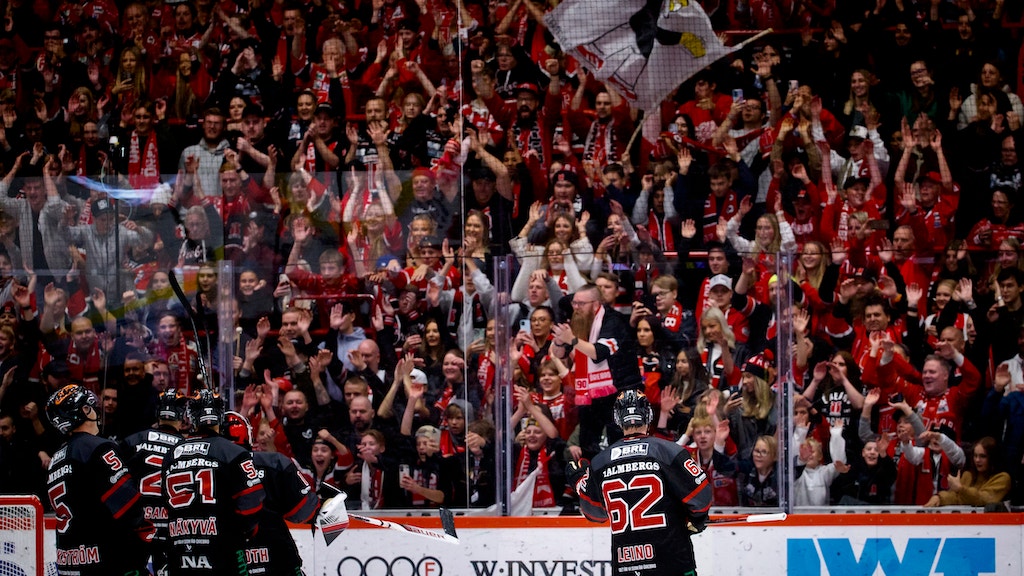 (24809) Robert Leino