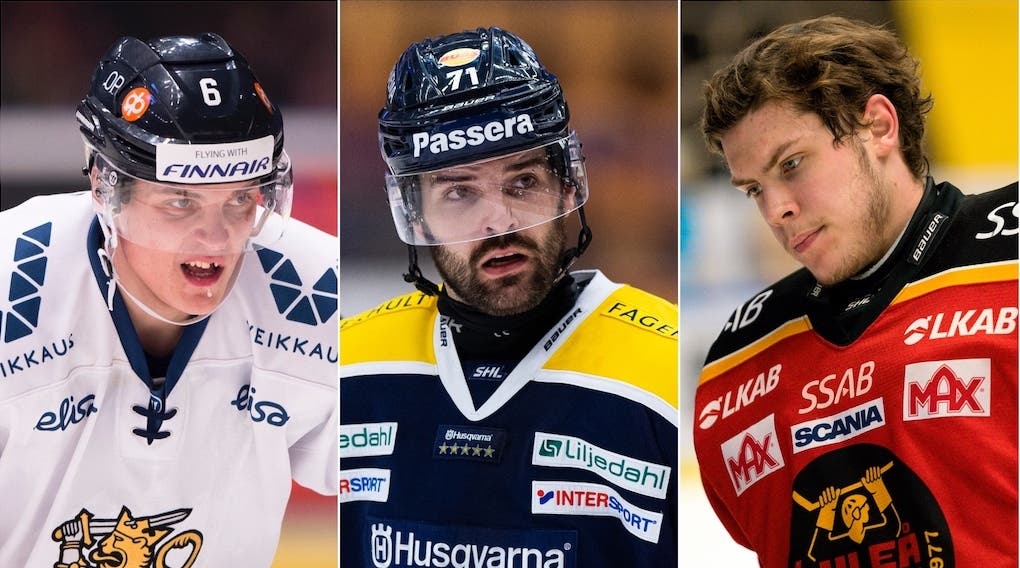 (19958) Honka/Fröberg/Wallstedt