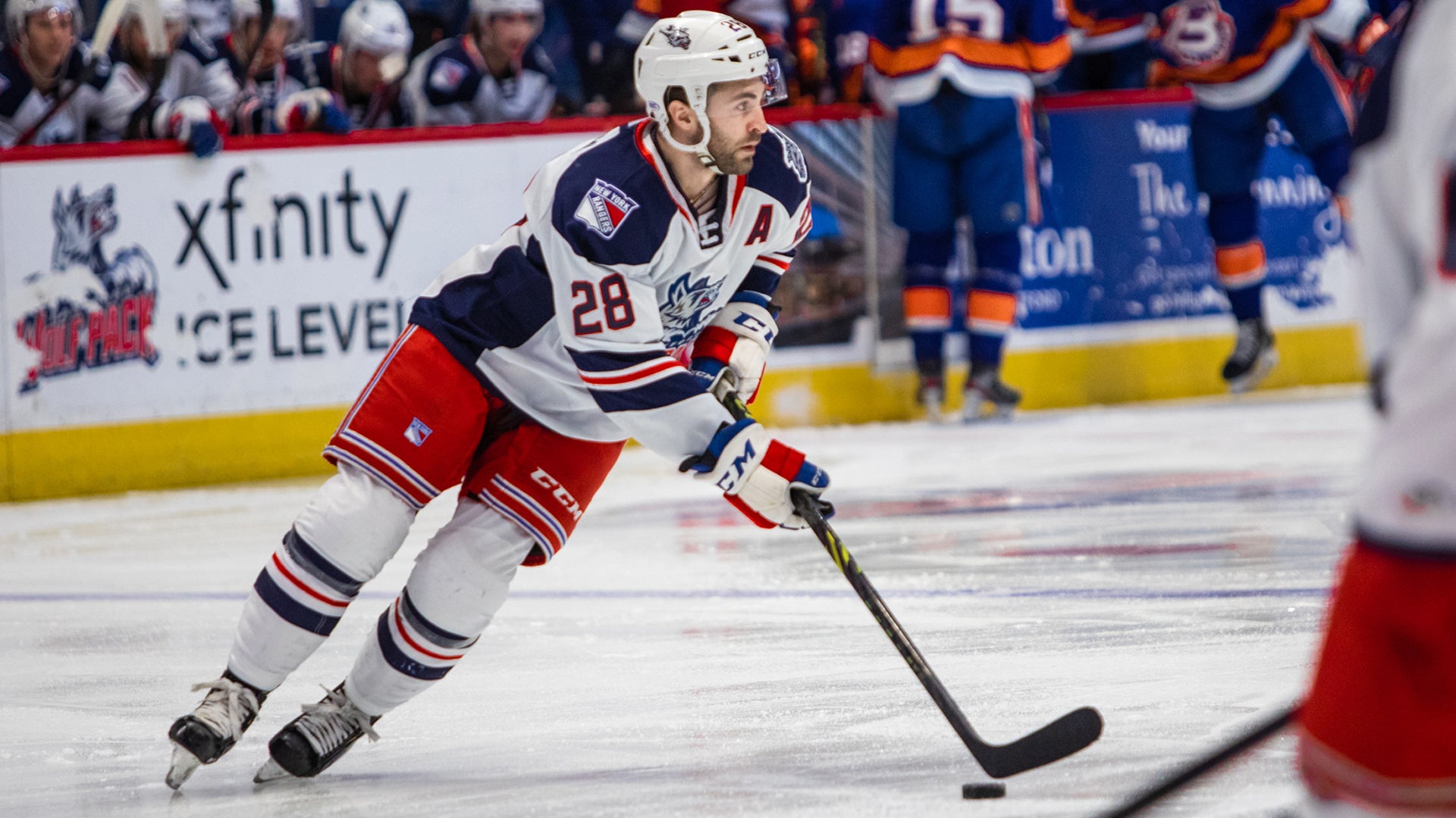 Kelly Shea/Hartford Wolf Pack