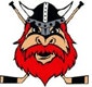 Nybro Vikings IF