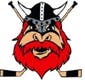 Nybro Vikings IF