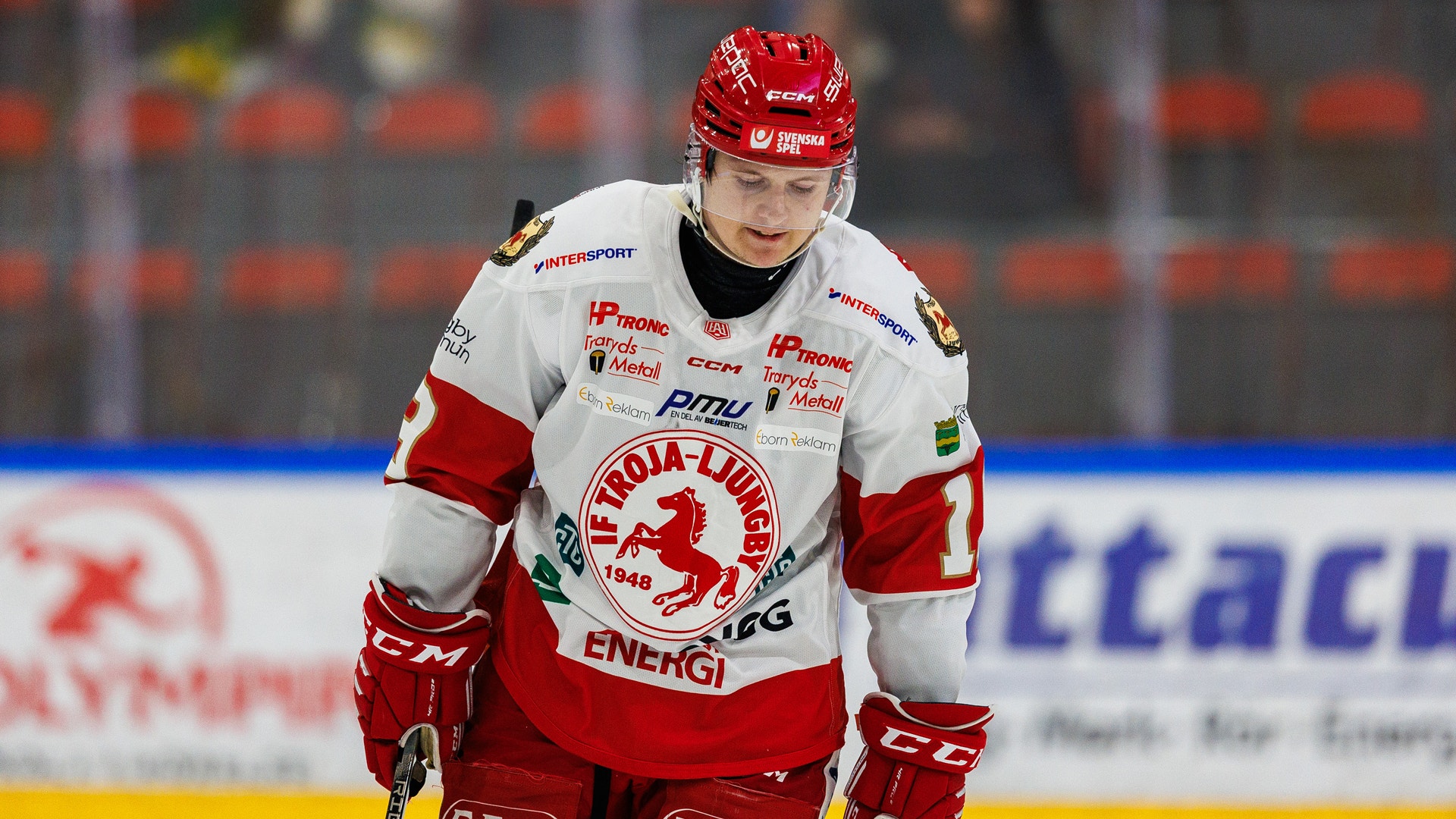 Foto: Johan Axelsson/Bildbyrån