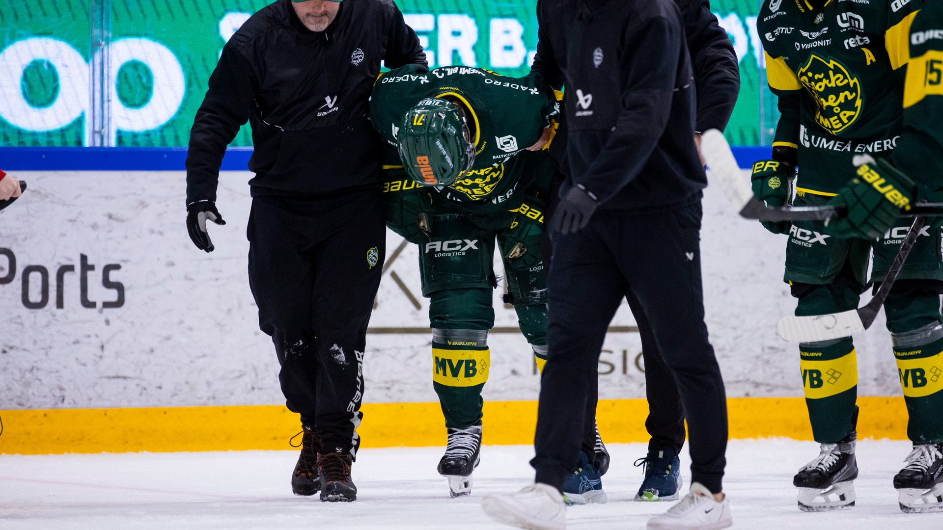 Foto: Johan Löf/Bildbyrån