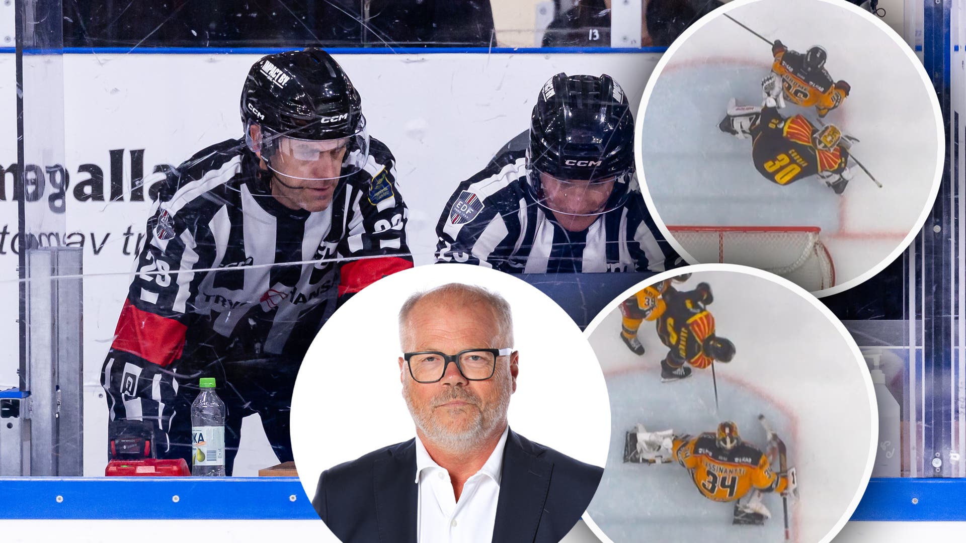 nubben, domare, shl