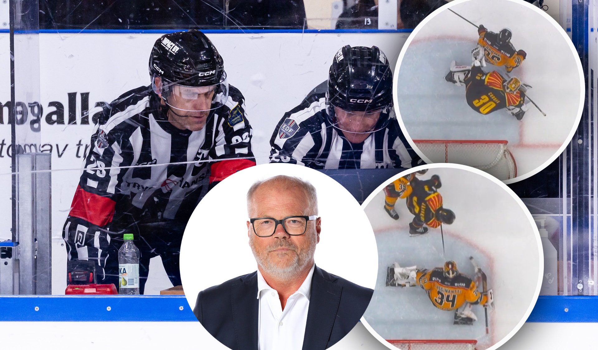nubben, domare, shl