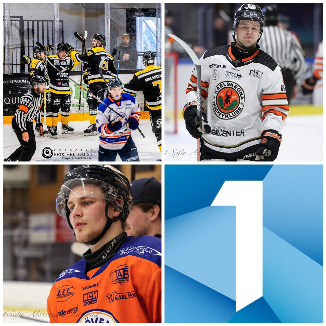 Collage poängtappare Hockeyettan