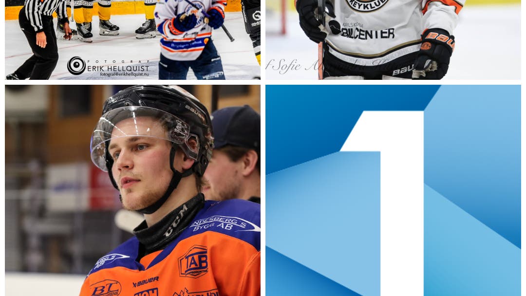 Collage poängtappare Hockeyettan