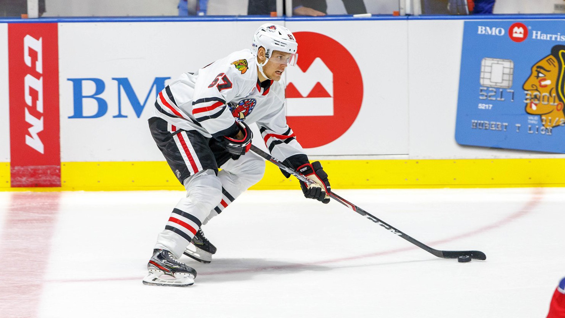 Rockford IceHogs