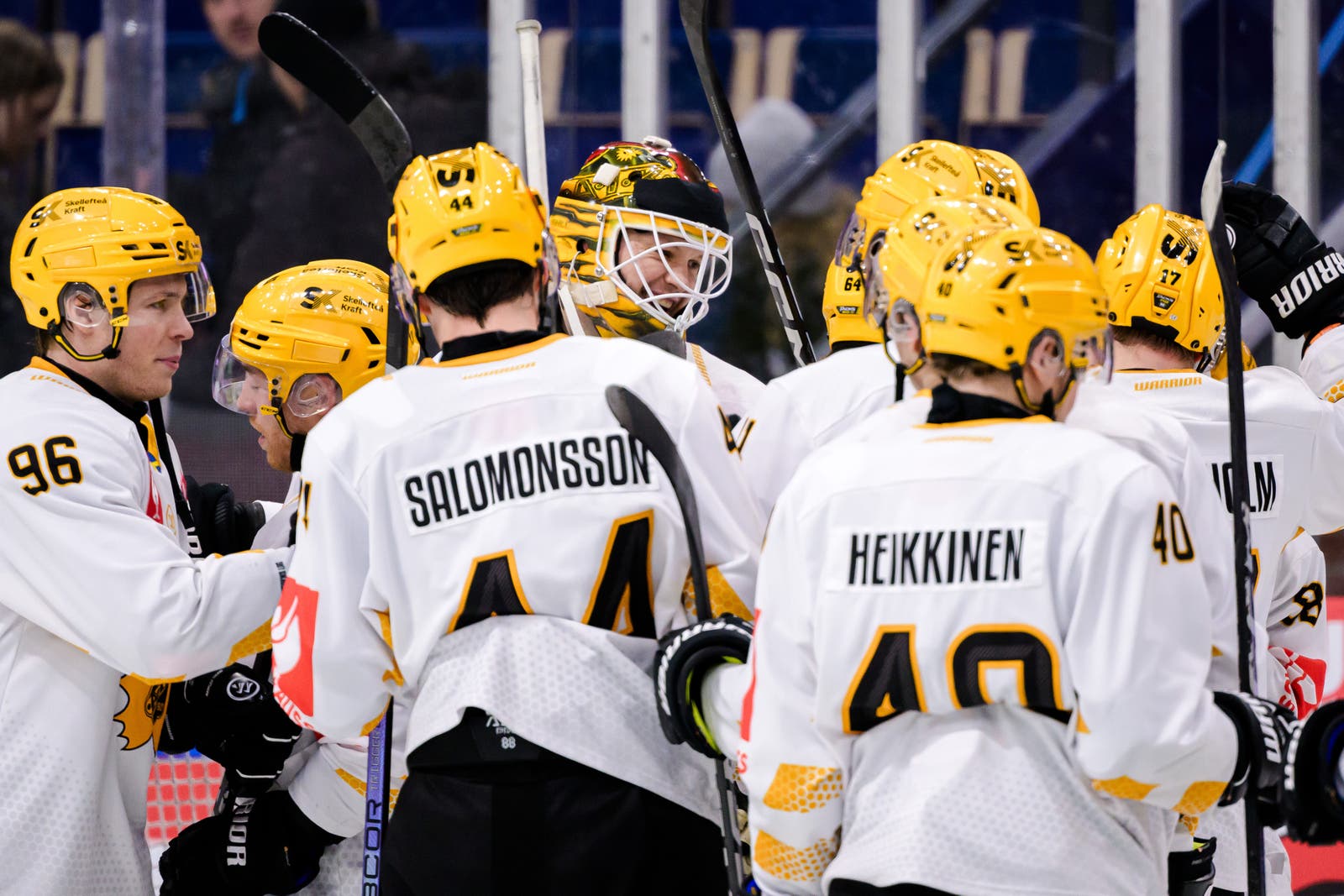 (30794) Skellefteå CHL