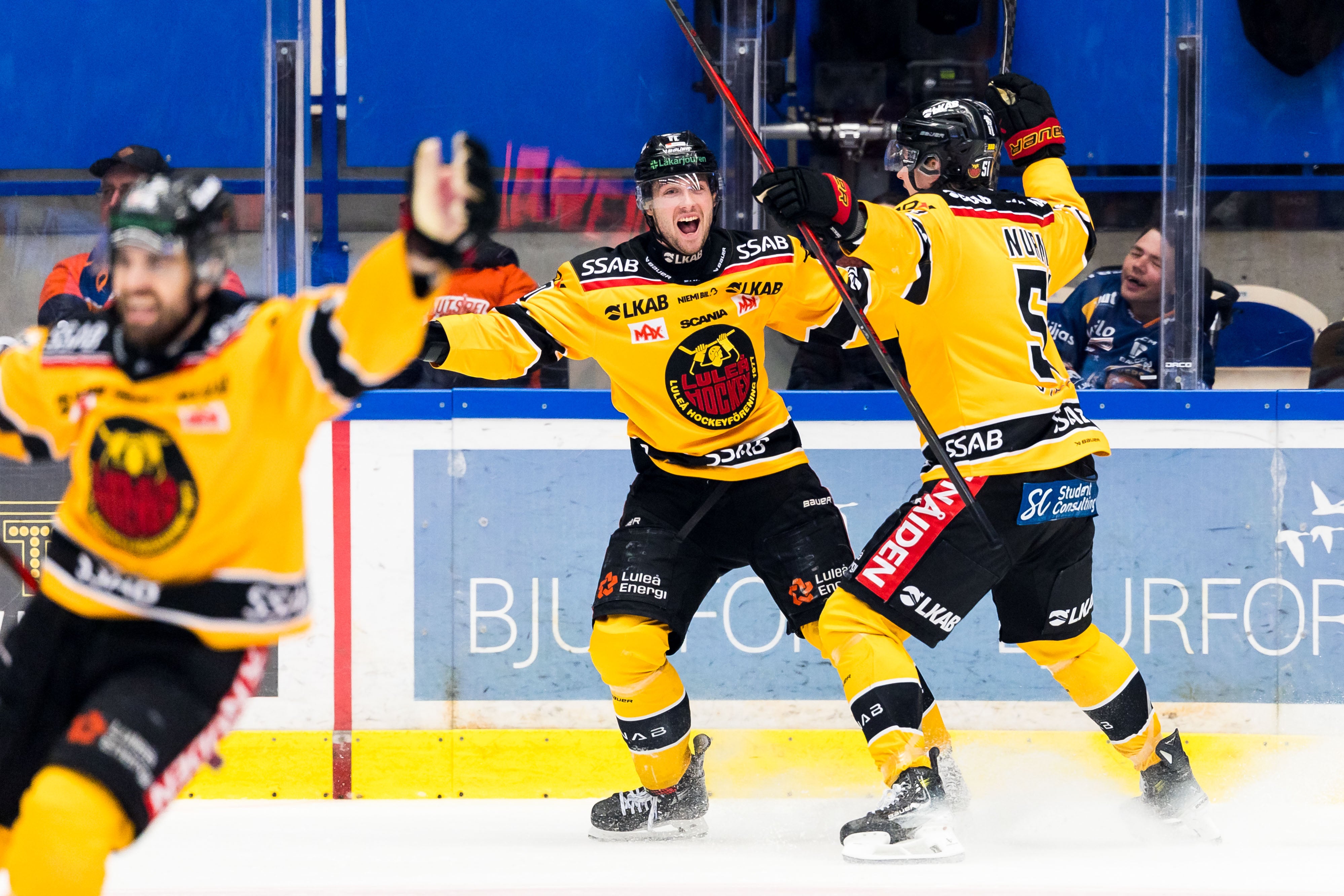 Foto: Jonas Ljungdahl/Bildbyrån