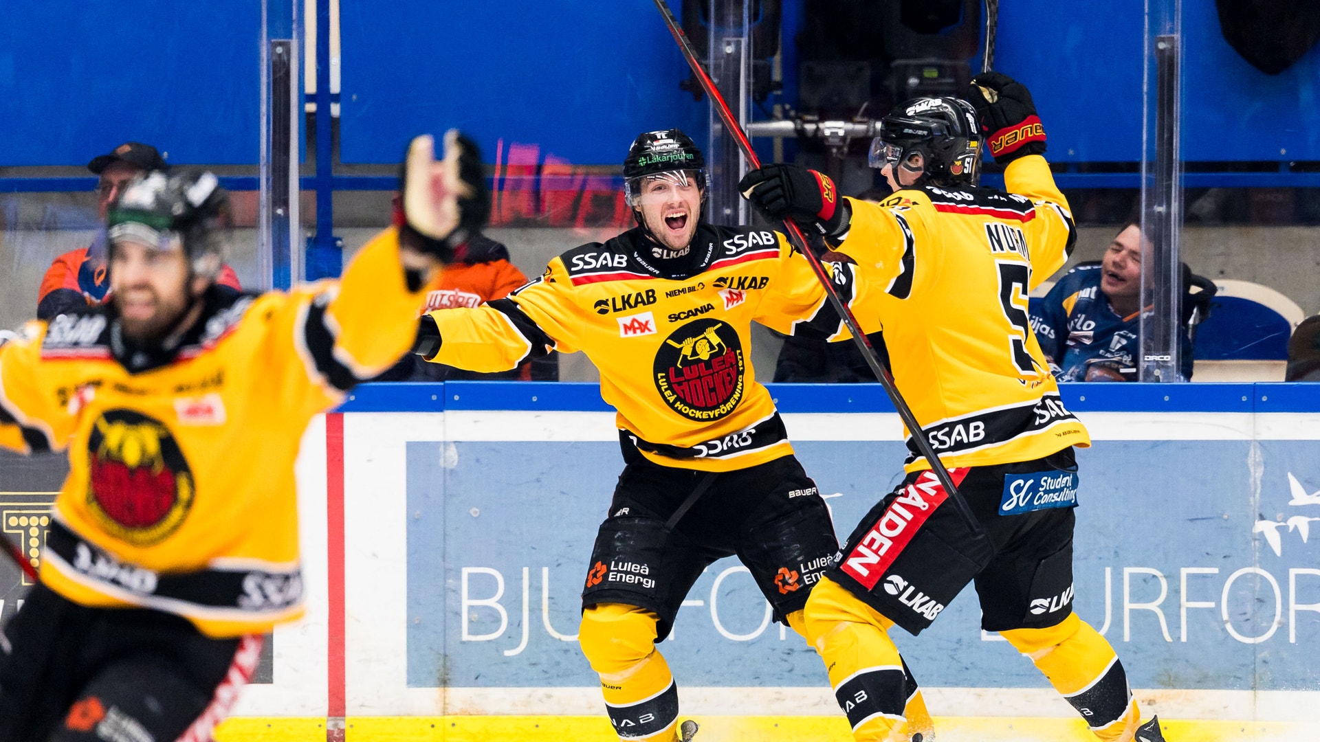 Foto: Jonas Ljungdahl/Bildbyrån