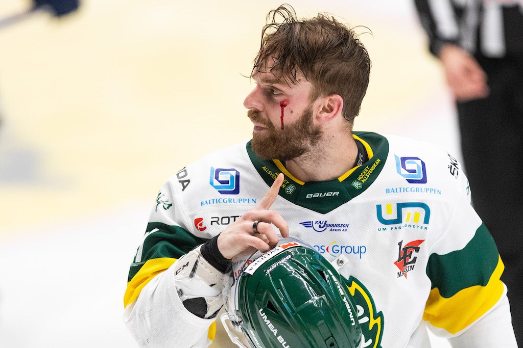 (23433) Charles David Beaudoin/Björklöven