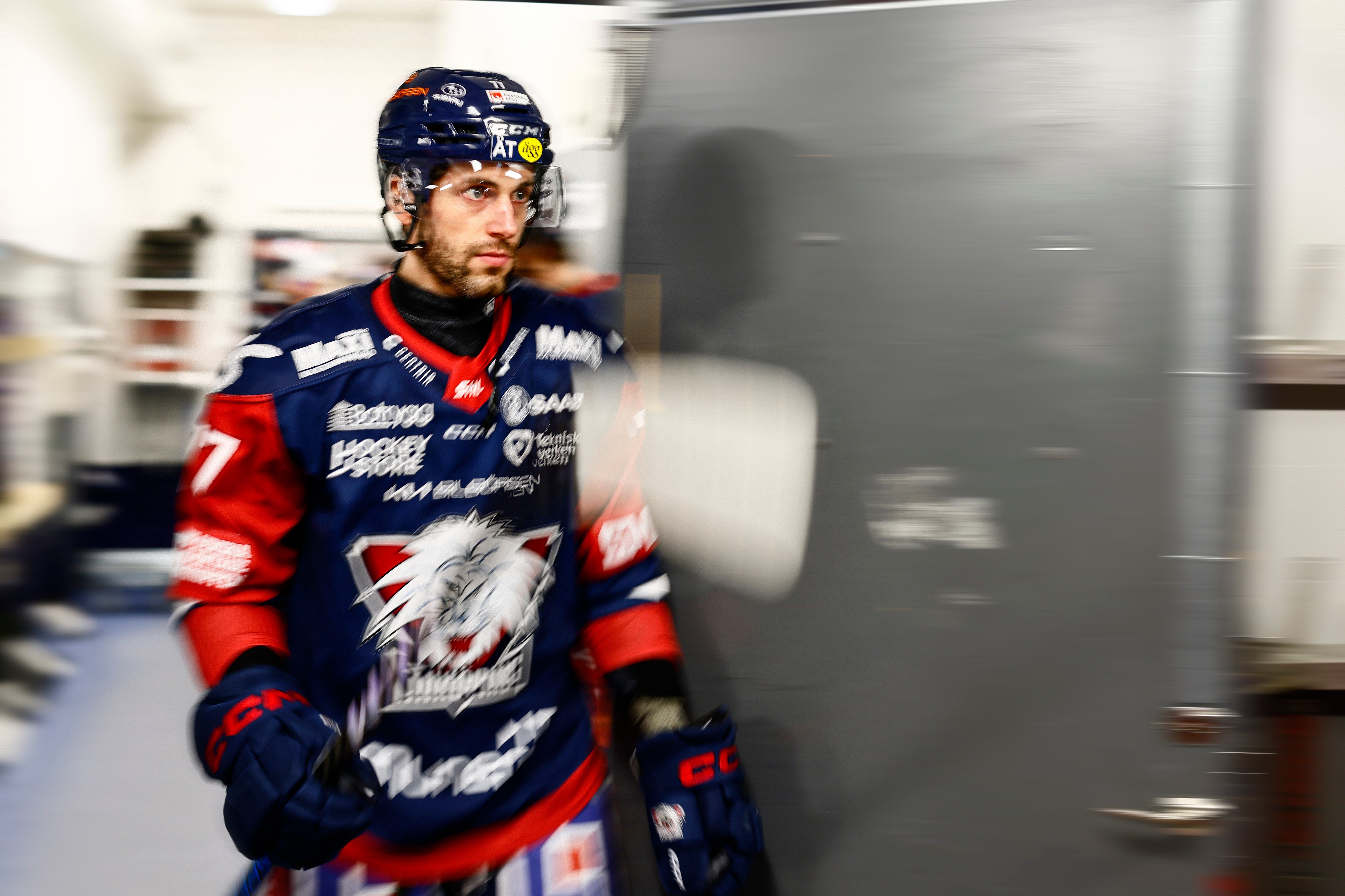 Taylor Leier