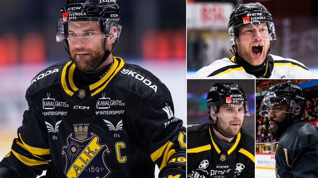 (31614) Christian Sandberg hyll