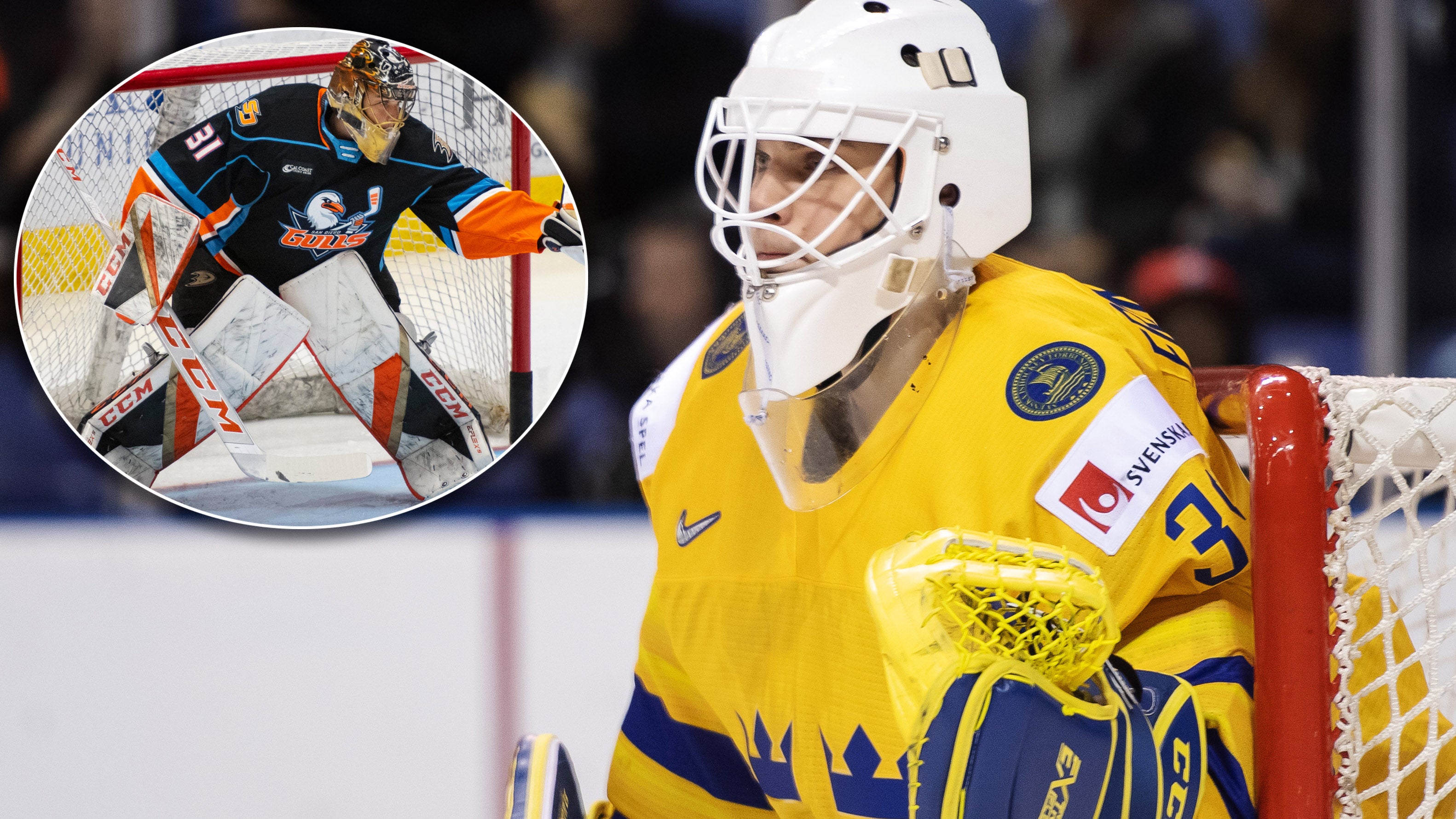 (18365) Olle Eriksson Ek