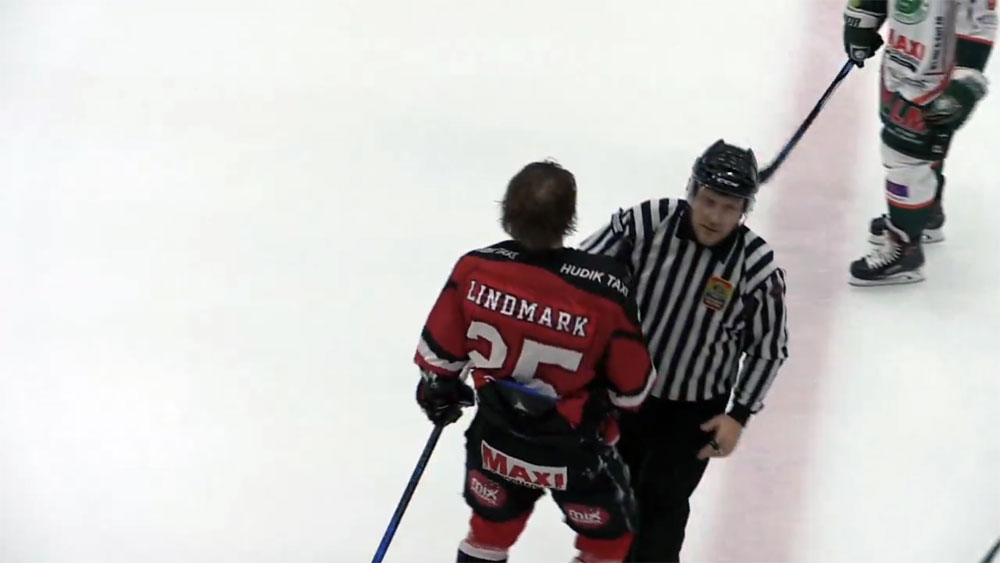 Skärmdump Hudik Hockey