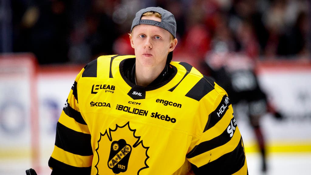 (25813) Alexander Hellnemo Skellefteå