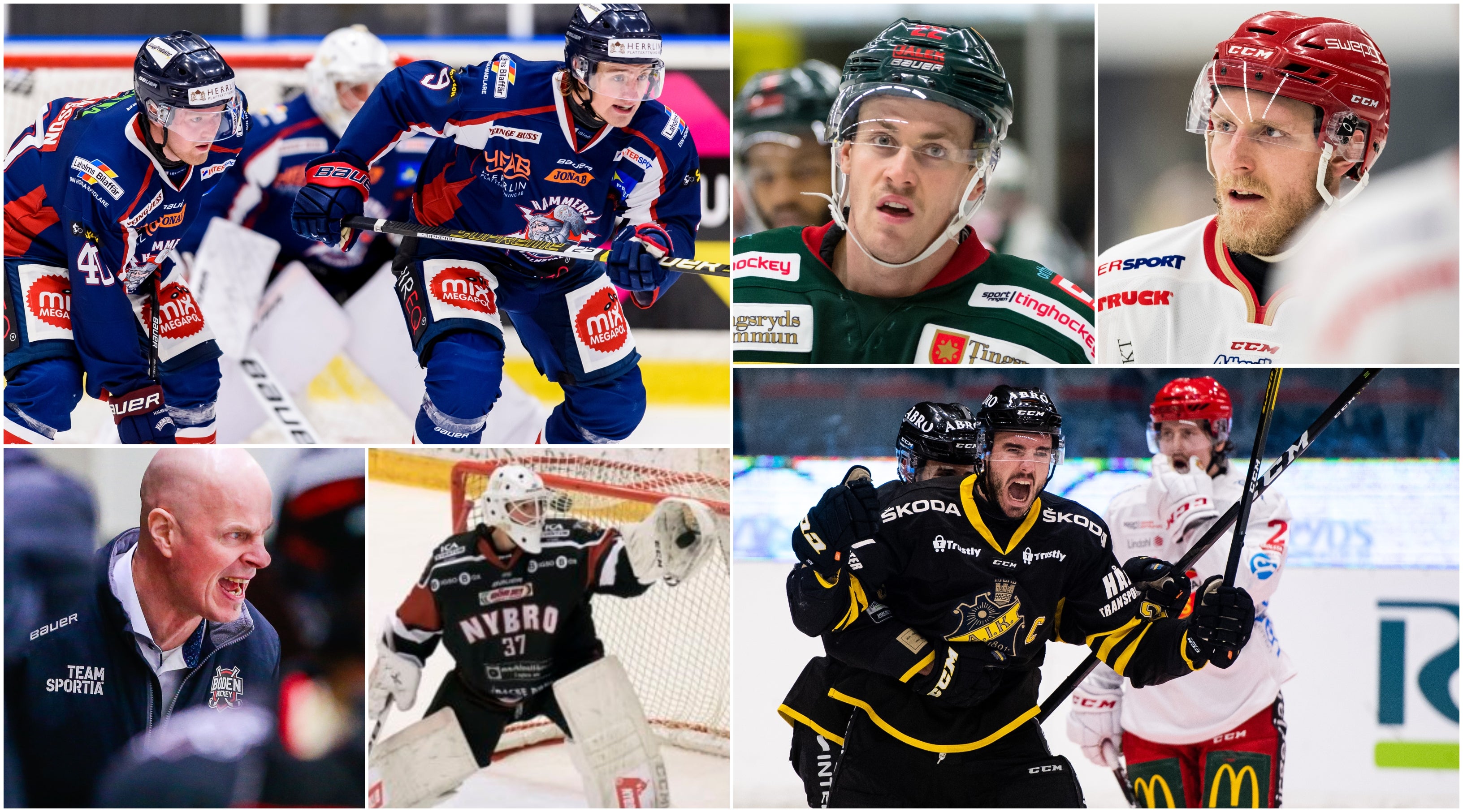 (12687) kollage måndag