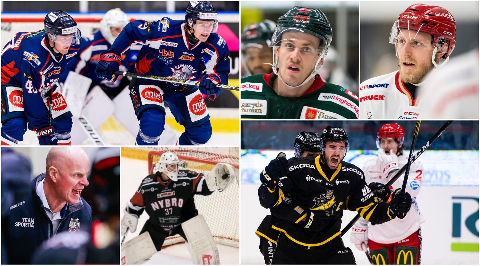 (12687) kollage måndag