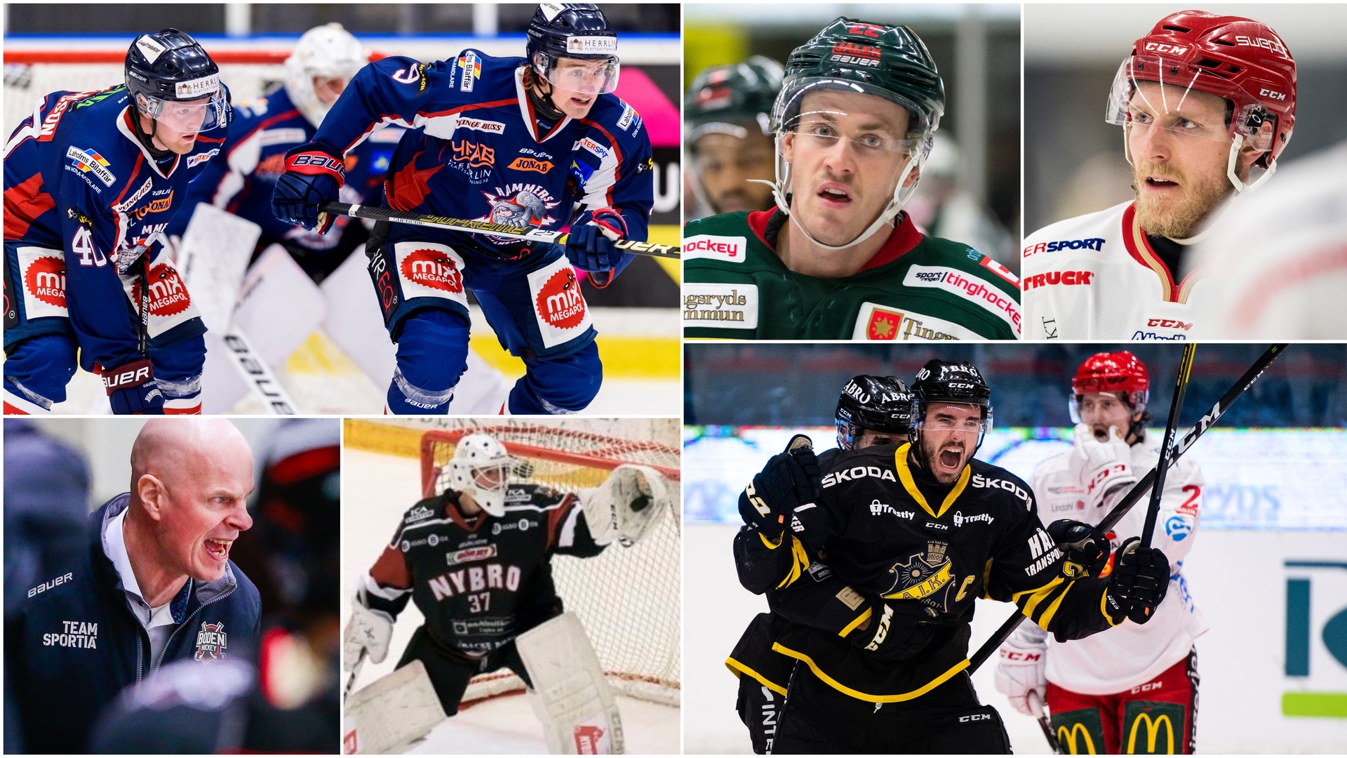 (12687) kollage måndag